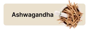 frame 1686551962