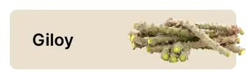 frame 1686551964