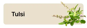 frame 1686551969