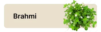 frame 1686551970