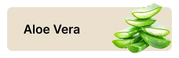 frame 1686551972